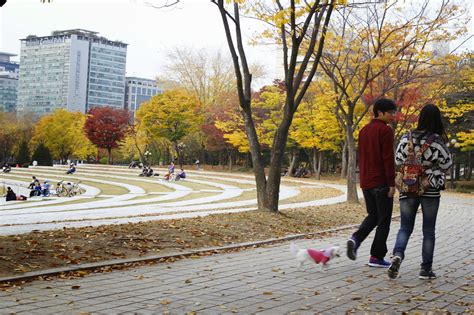  안양 시민 공원, 자연과 휴식을 만끽할 수 있는 도시 오아시스!