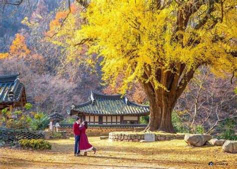  정동서원의 신비로운 아름다움과 역사 속으로 떠나보세요!